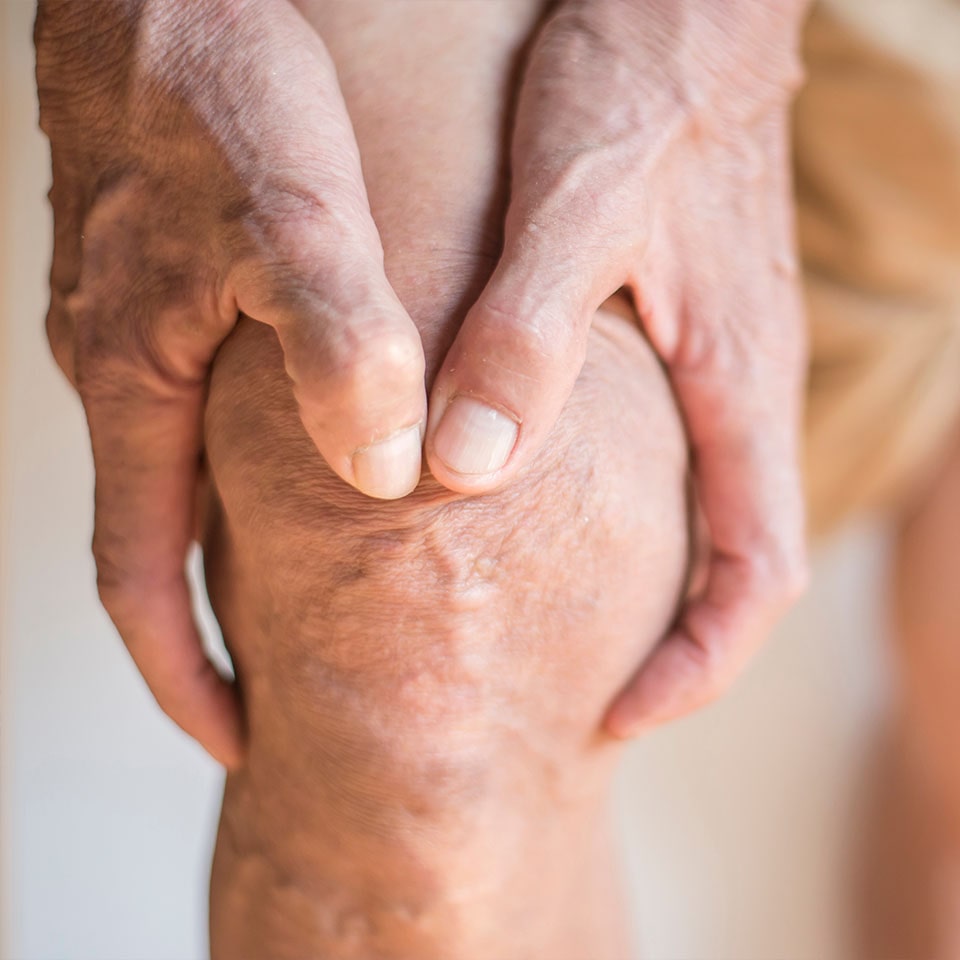 The knee of the elderly with muscle inflammation and bone degeneration